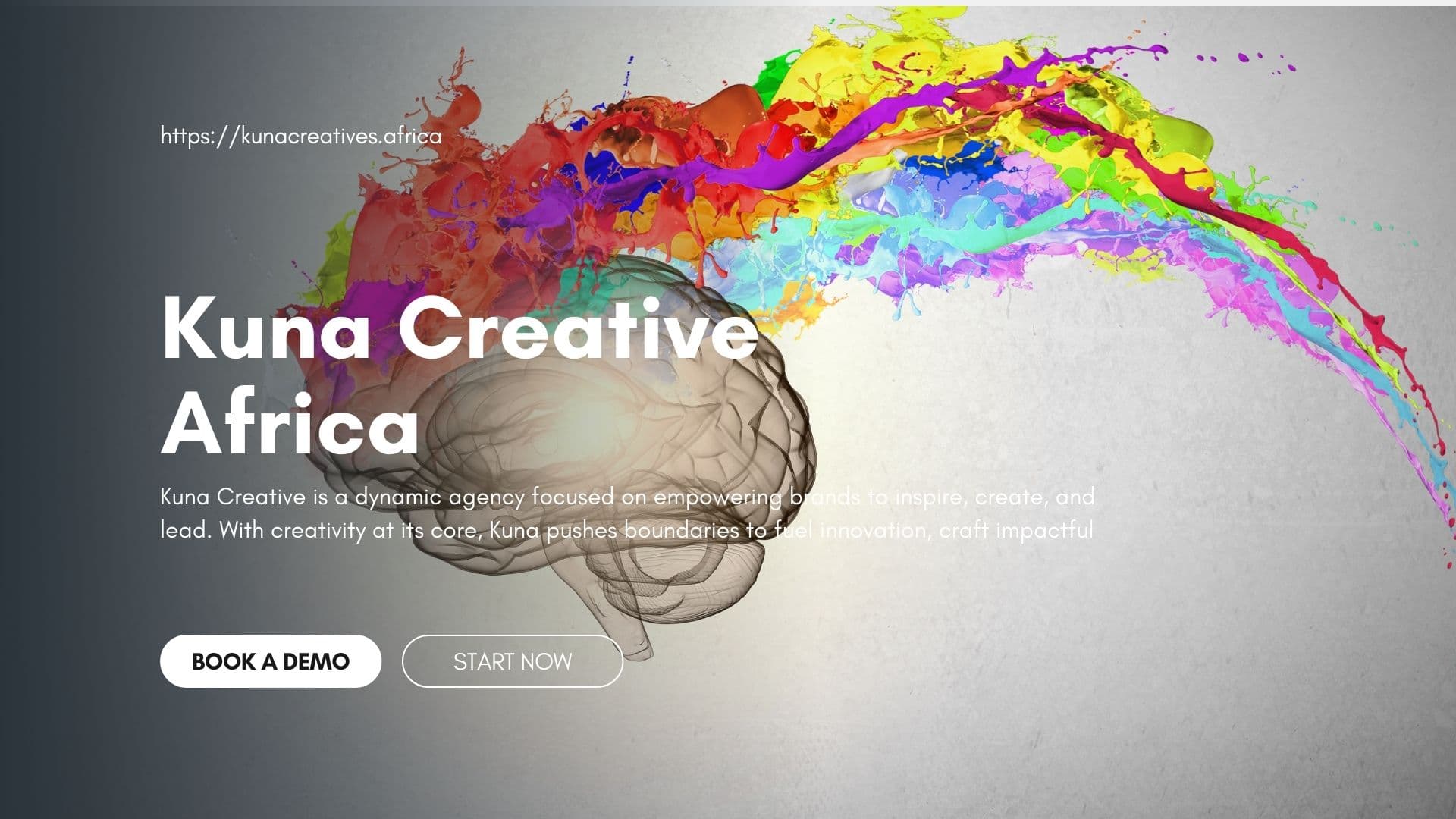 AI in African Healthcare